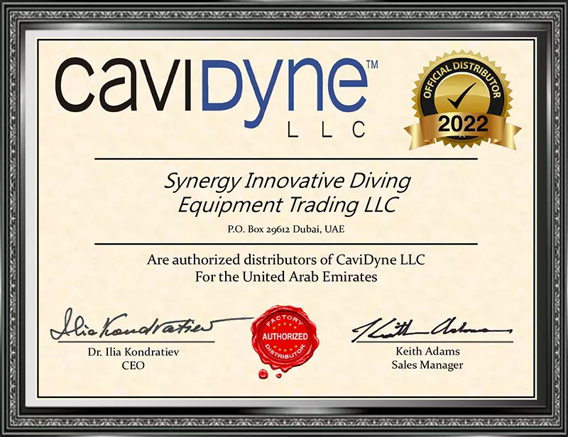 CaviDyne LLC 2022